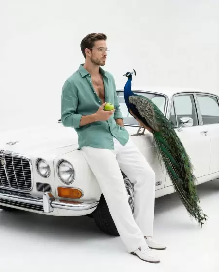 Riviera Dreaming